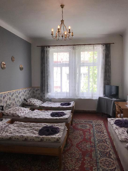 Penzion Rajf Krnov Exterior photo